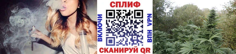 Купить наркотики цена Дмитриев Конопля  Мефедрон  МЕТАМФЕТАМИН  ГАШ  Псилоцибиновые грибы 