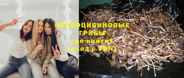 соль ск Михайловка