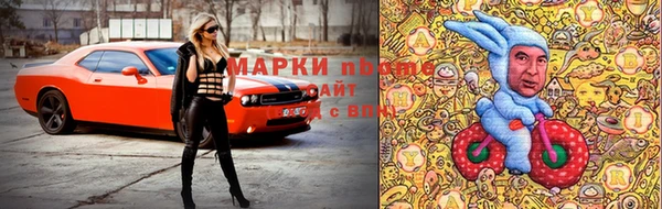 mdpv Михайловск