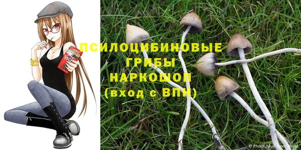 соль ск Михайловка