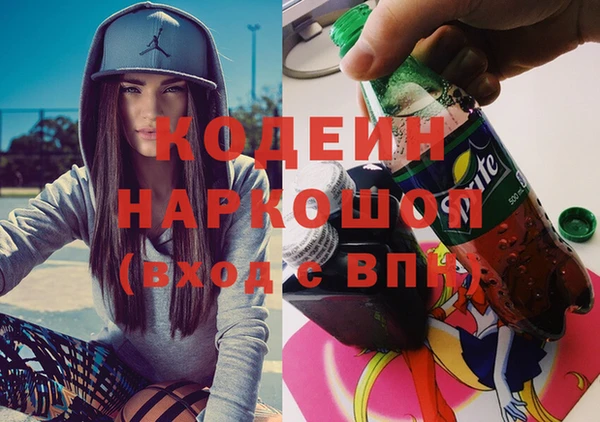 молекула духа Ростов