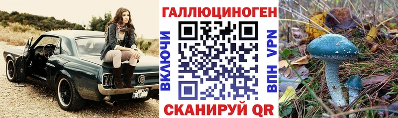 наркотики  OMG как войти  Галлюциногенные грибы Cubensis  Дмитриев 